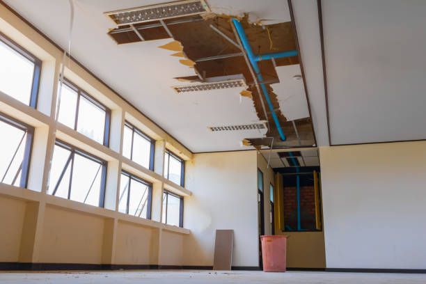 Best Water damage mitigation services  in Wildwood Lake, TN