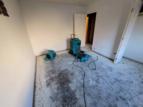 Best Flooded house restoration  in Wildwood Lake, TN