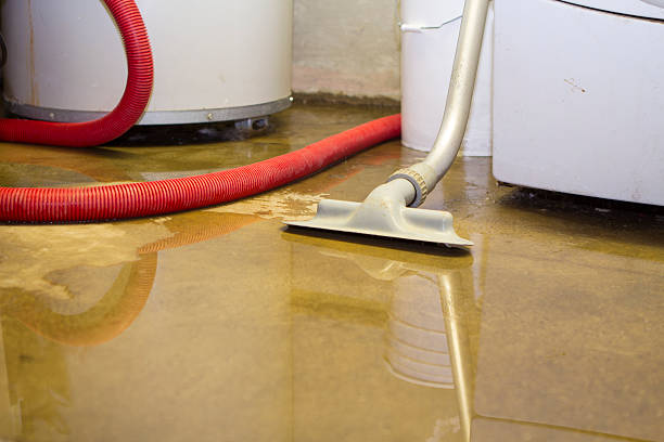 Best Flood restoration services  in Wildwood Lake, TN