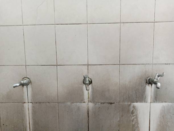 Best Ceiling water damage repair  in Wildwood Lake, TN
