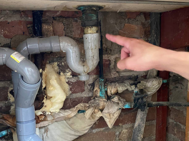Best Water damage restoration insurance claims  in Wildwood Lake, TN
