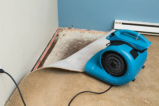 Trusted Wildwood Lake, TN Water damage restoration Experts